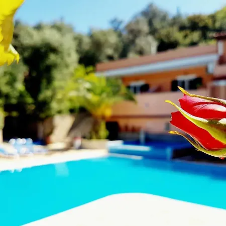 Arianna Apartment Paleokastritsa